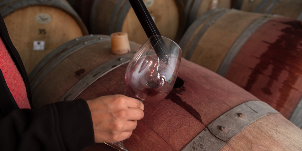 Wine sampling from the barrel