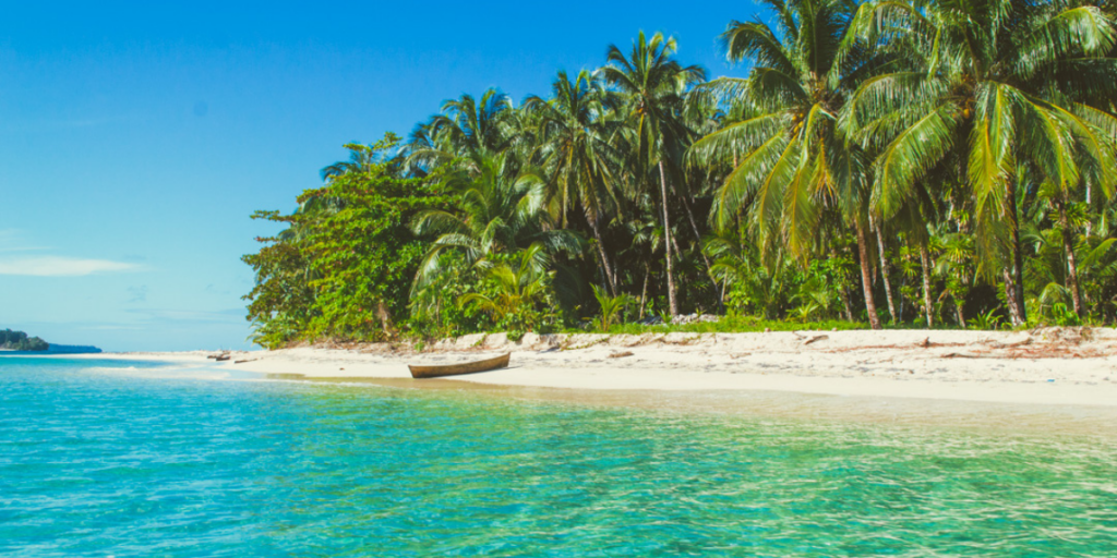 Bocas del Toro Panama beach with palm trees