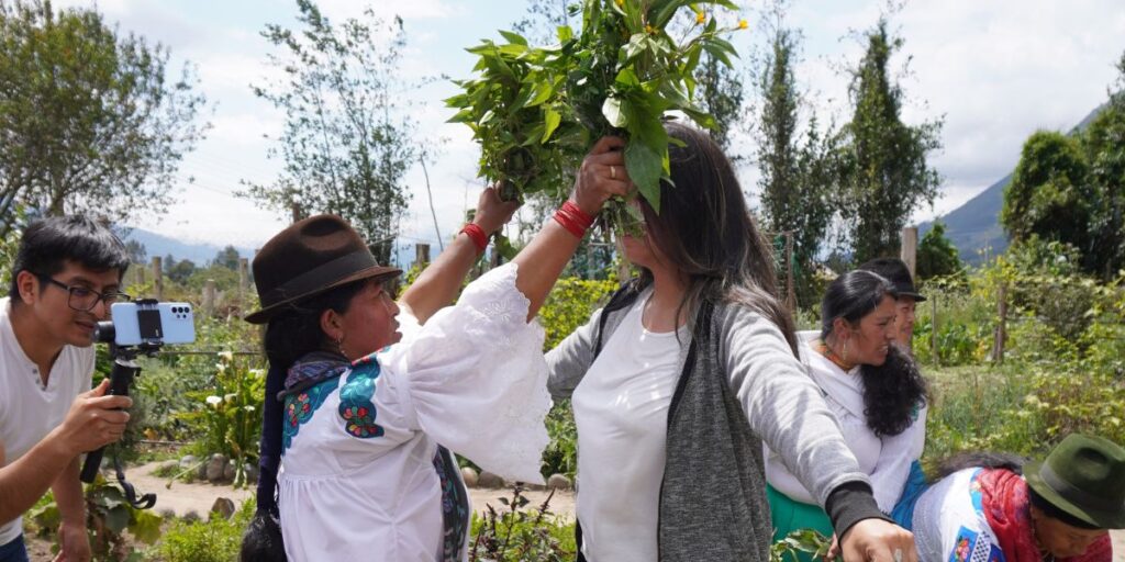 Plant medicine ceremony