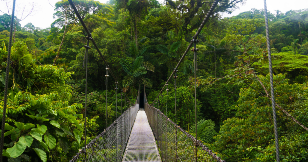 hanging bridge costa rica