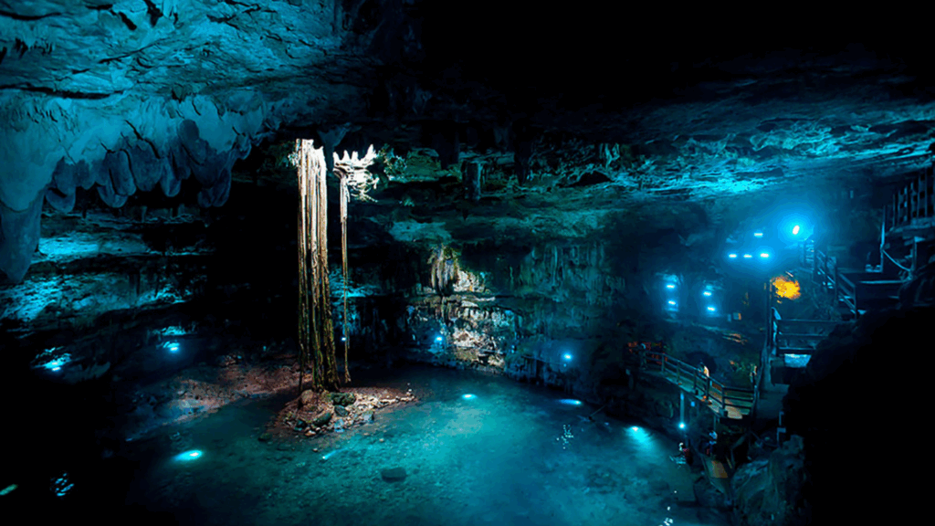 Wild Swimming Cenotes Baja