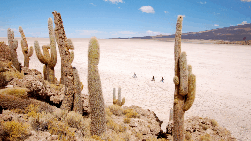 Biking on Bolivia's Uyuni Islands