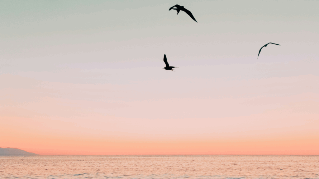 Baja Sunset