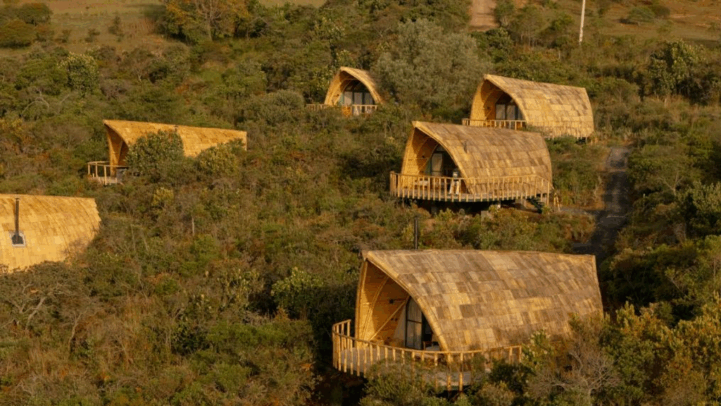 Casa Selvaggio Colombia