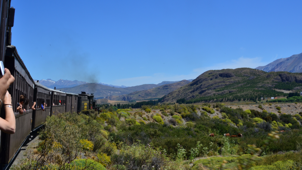 Patagonian Express