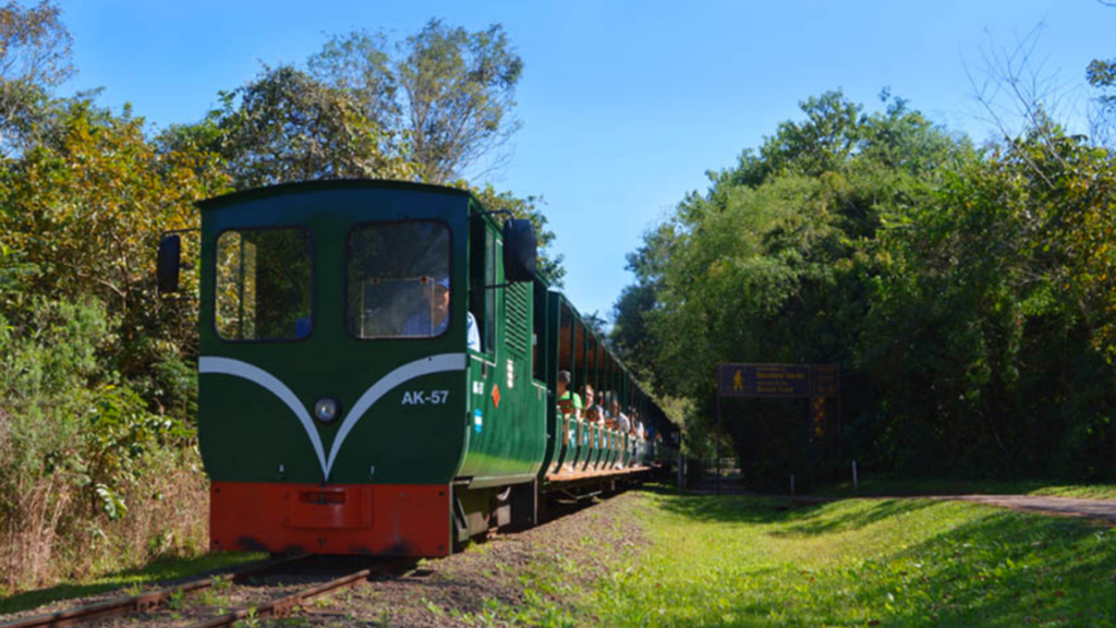 Rainforest Ecological train Iguazu Argentina 1