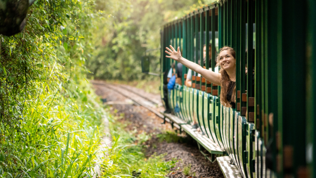 Rainforest Ecological train Iguazu Argentina