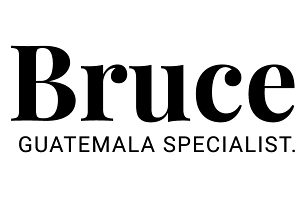 BRUCE-logo-negro