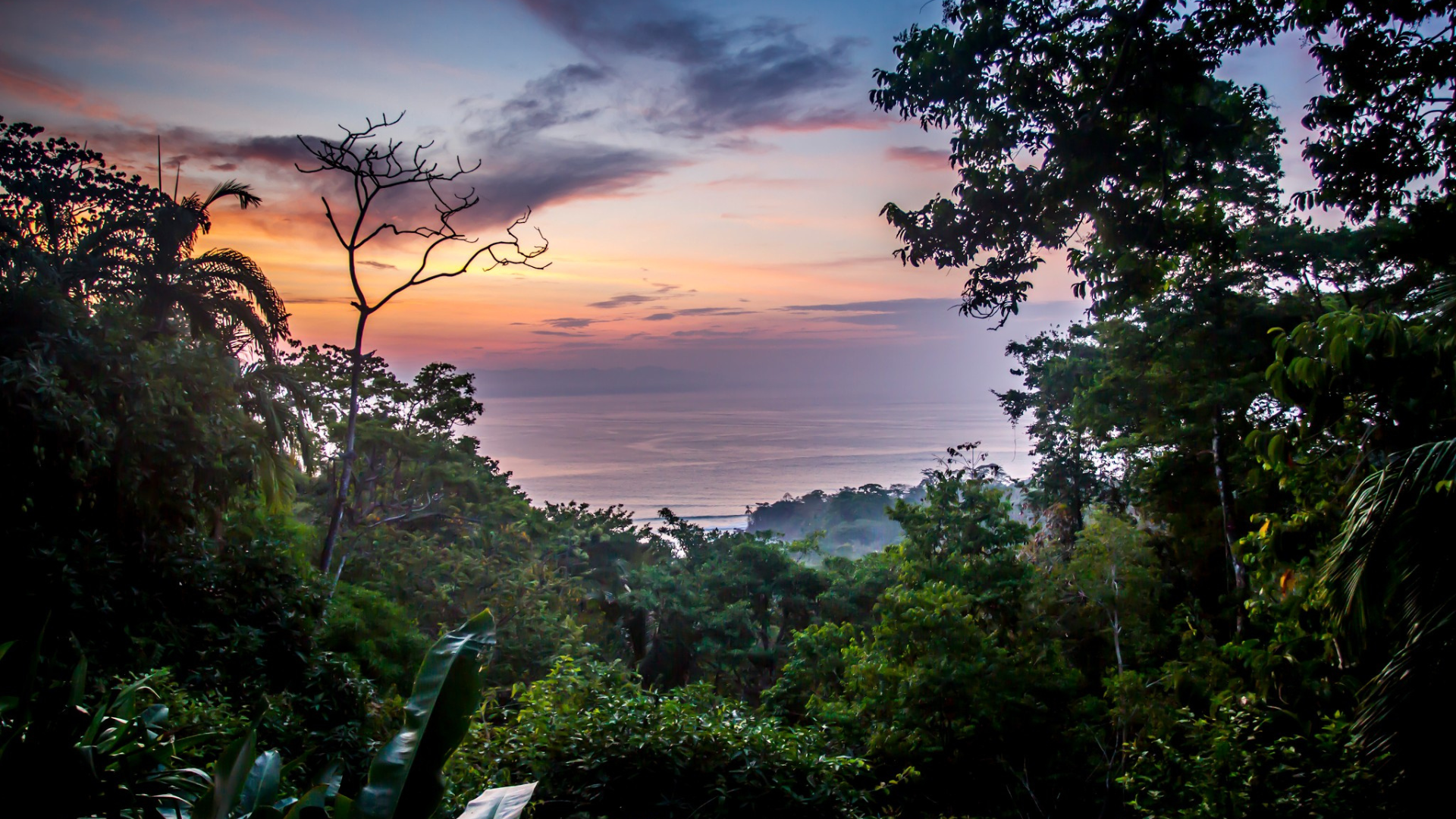 Costa Rica Canopy Luxury Treehouse Stays