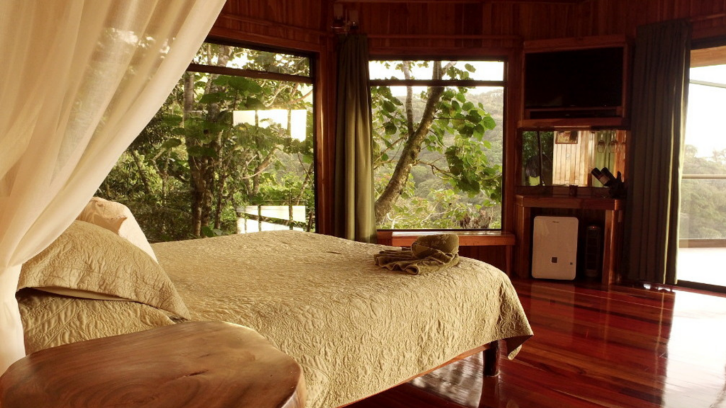 Hidden Canopy Lodge