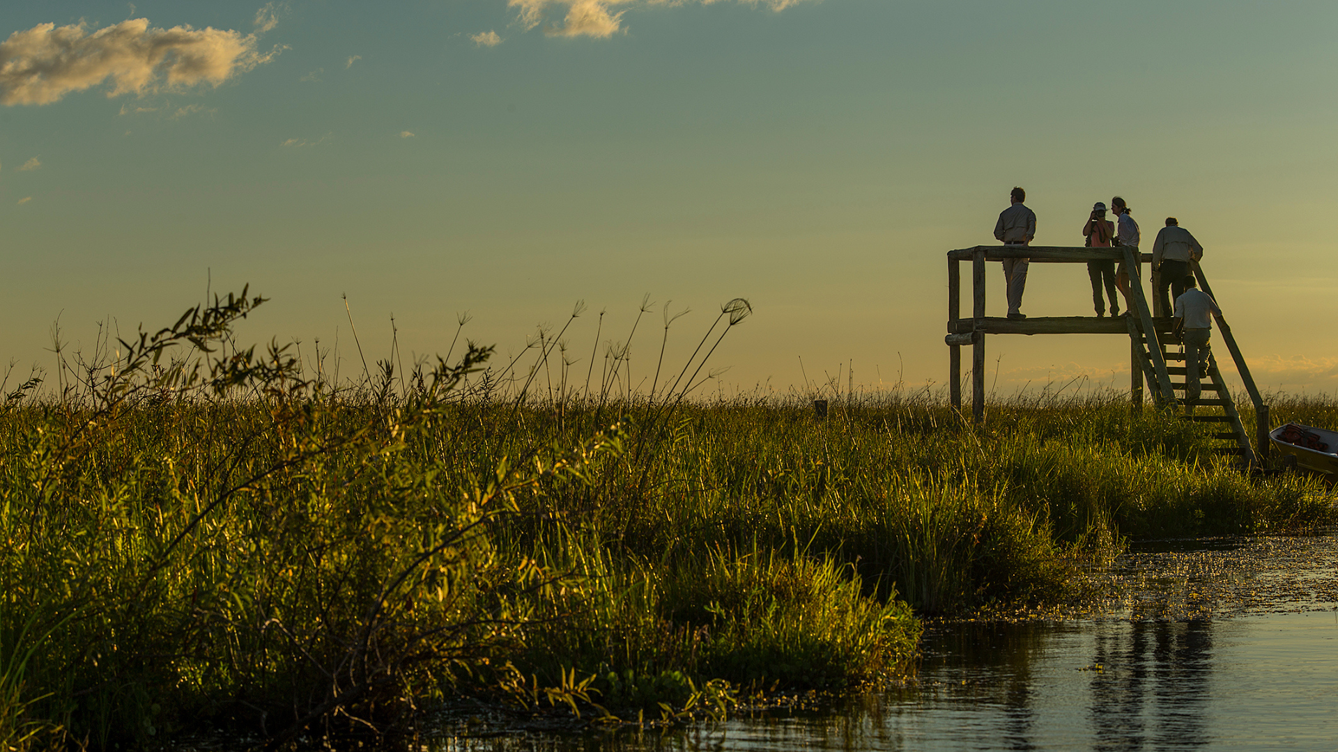 ibera wetlands Argentina lookout
