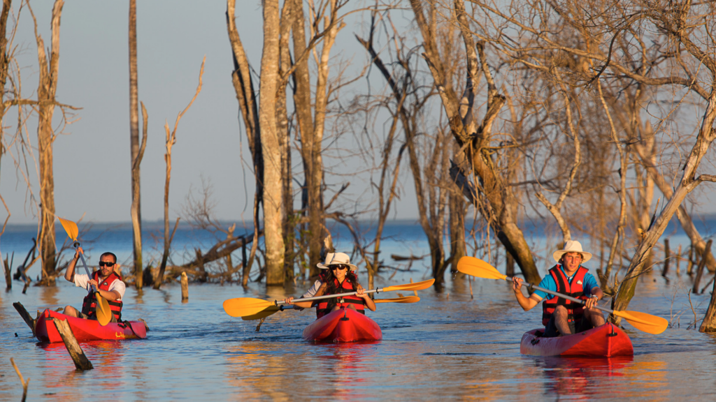kayaking ibera wetlands