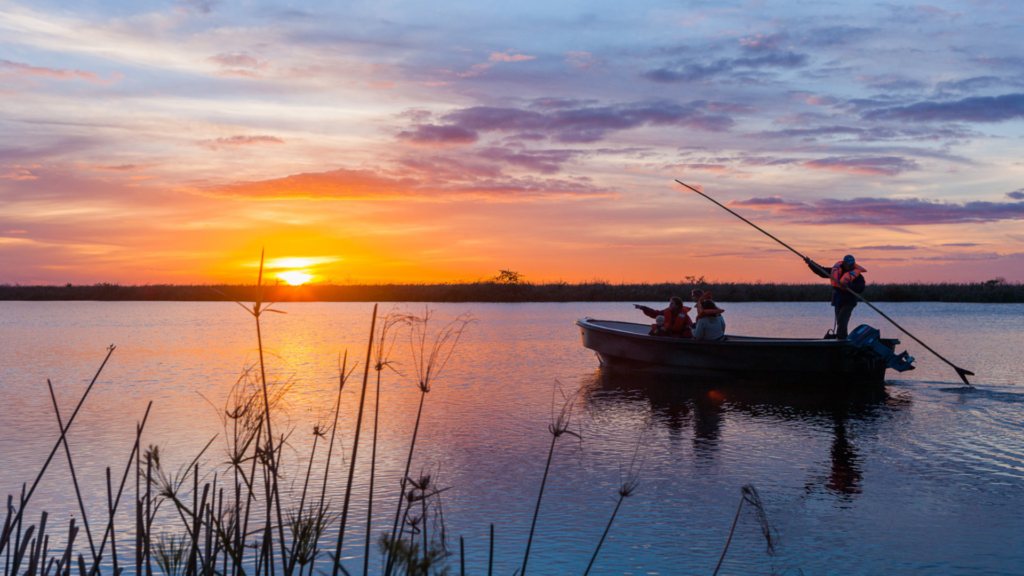 gliding through ibera wetlands