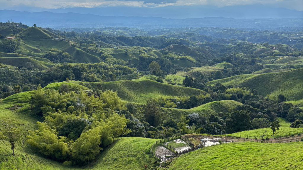 Colombia's coffee region Andes