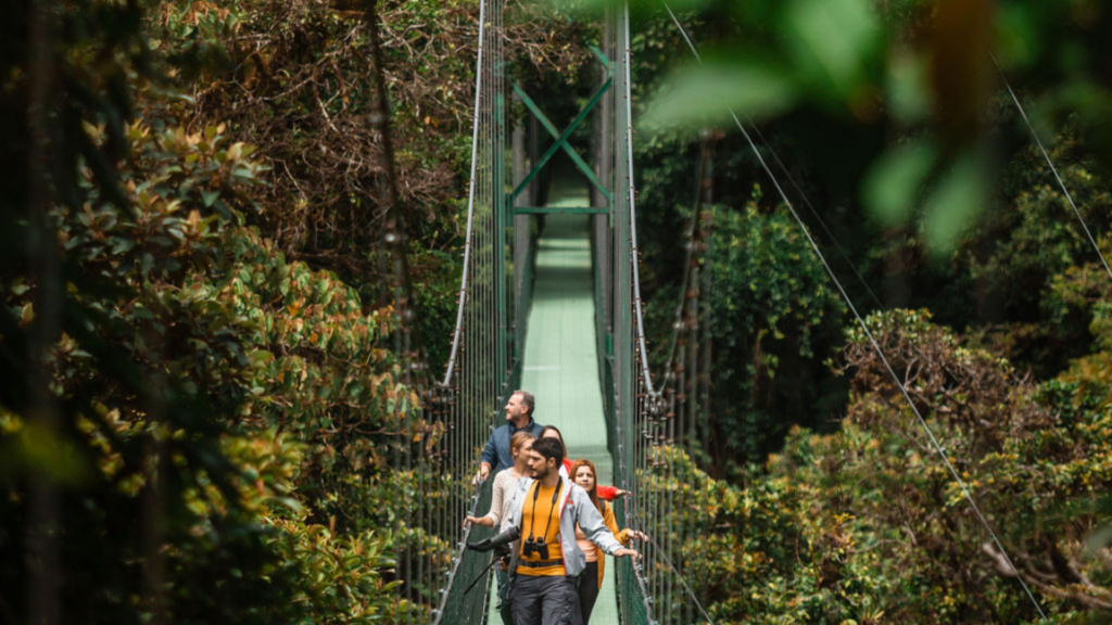 Hanging bridge Monteverde Costa Rica