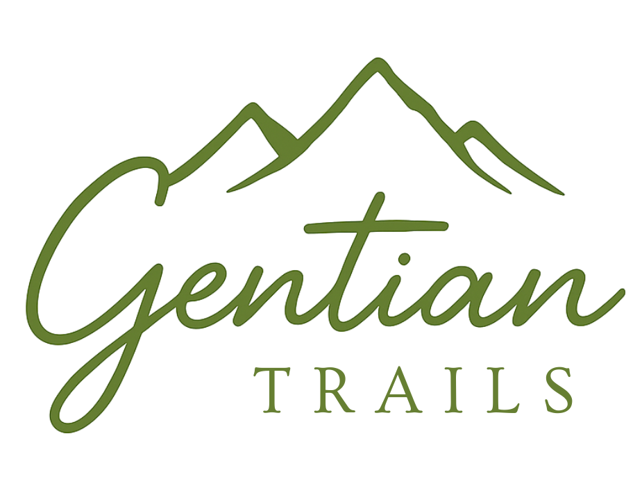 GT Logo Oficial