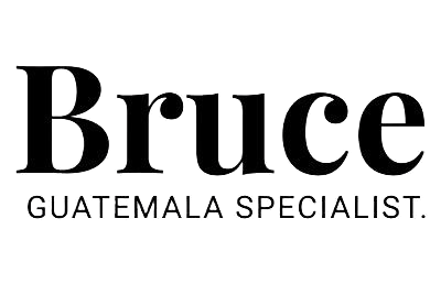 Bruce Logo