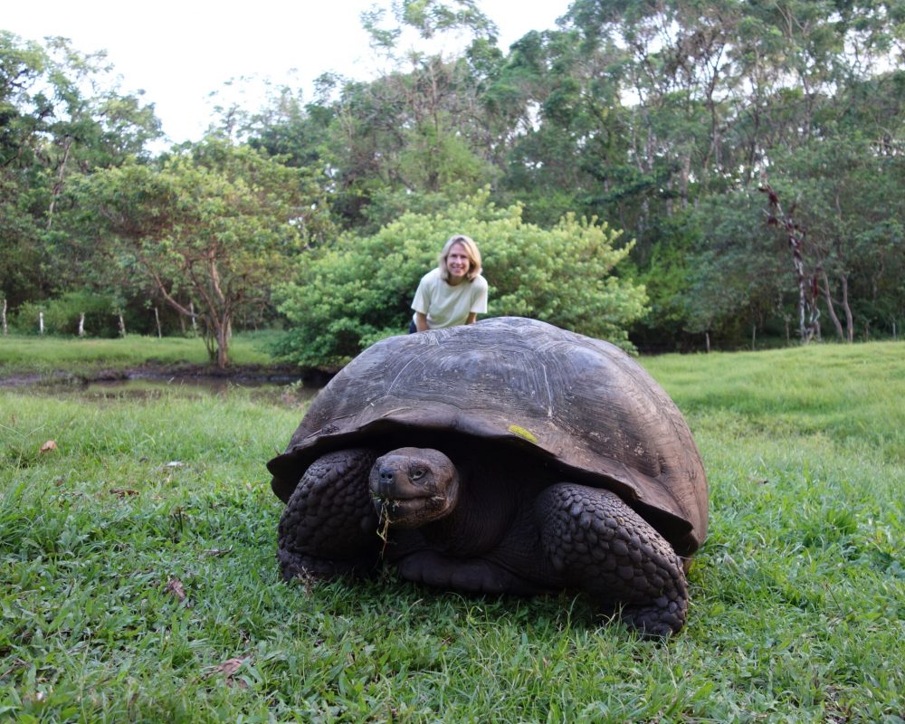 Galapagos Katrina